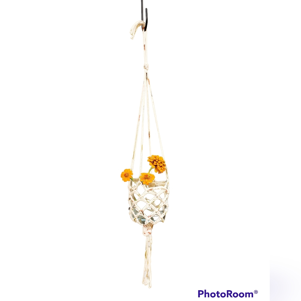 Plant Hanger
